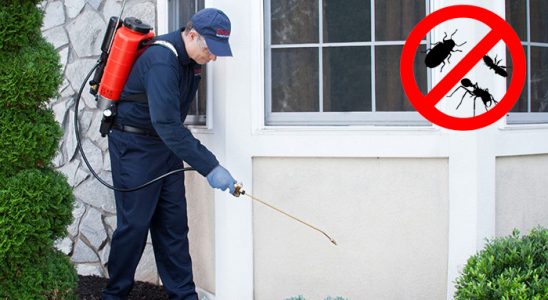 Erdek Karınca İlaçlama böcek ilaçlama ve haşere kontrolü — ilaclama-tr.com